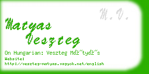 matyas veszteg business card